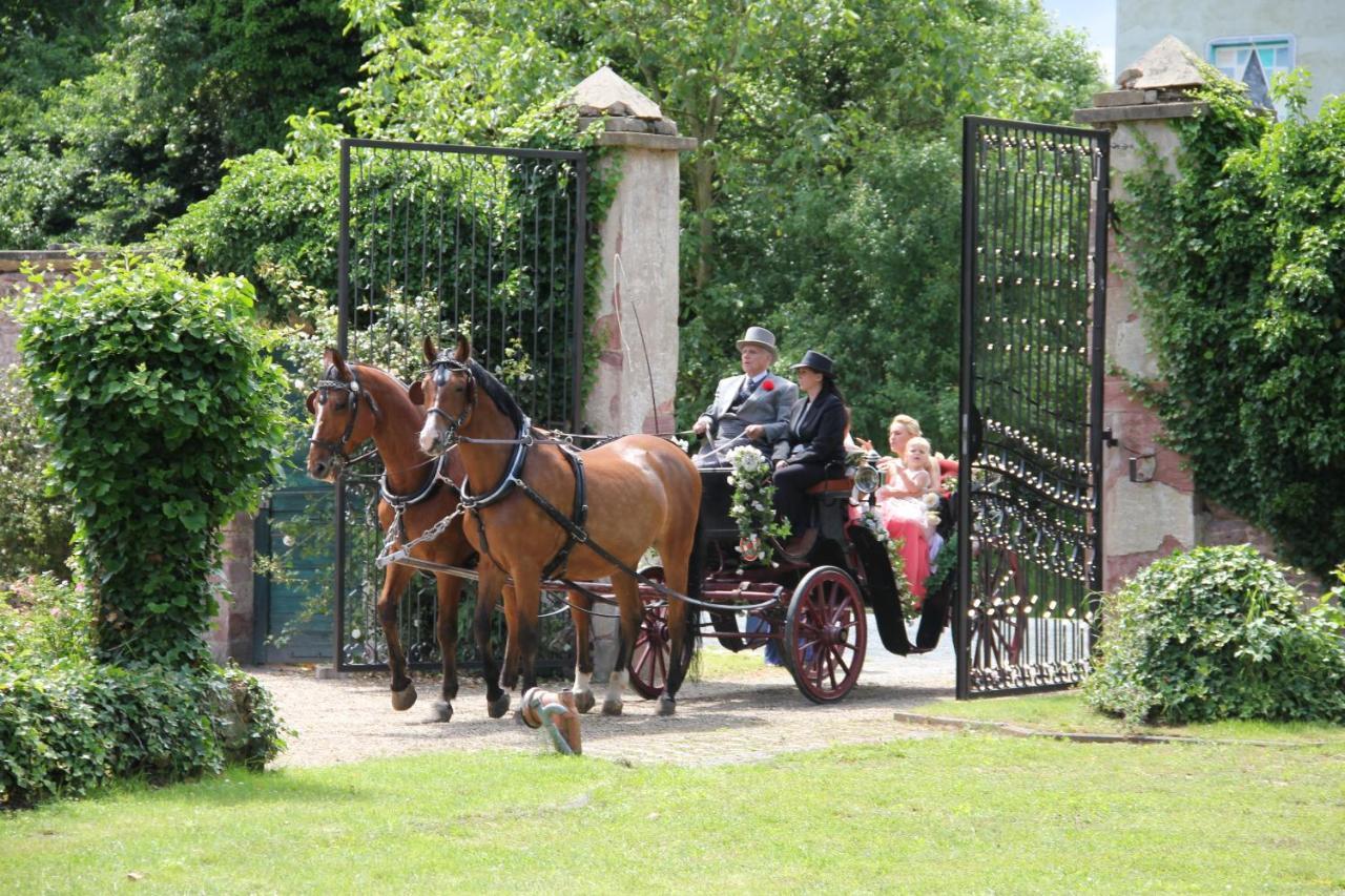 Jagdschloss Moenchbruch مورفلدن فالدورف المظهر الخارجي الصورة